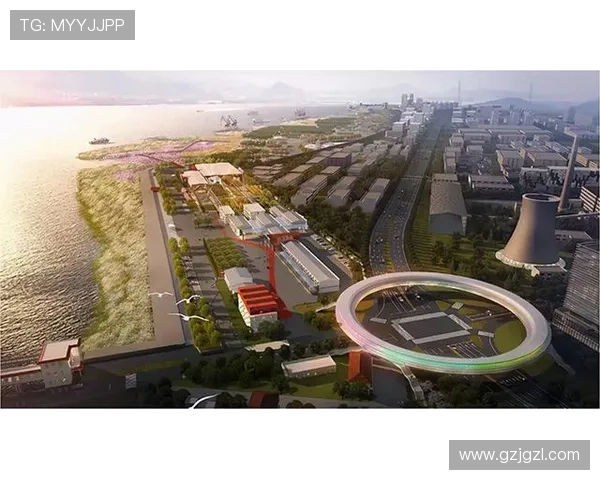 杭州乒乓球队防守革新之路探秘与未来发展展望