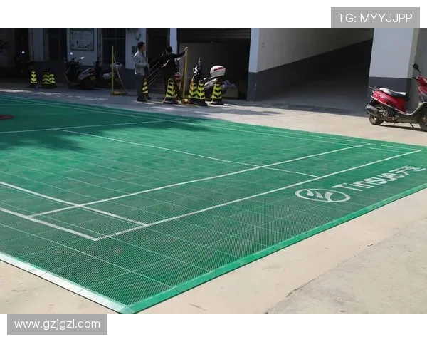 西安羽毛球队实力深度对比及未来发展趋势分析